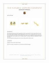 1.56 Ct.Tw.Total Carat Weight Yellow Sapphire Pair from Ceylon (Sri Lanka) Appraisal