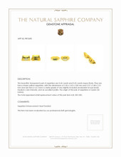 0.87&nbsp;Ct.Tw.Total Carat Weight Yellow Sapphire Pair from Ceylon (Sri Lanka) Appraisal