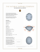 Jewelry 3 D Scan Report