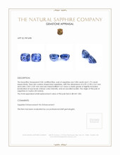 3.83&nbsp;Ct.Tw.Total Carat Weight Blue Sapphire Pair from Ceylon (Sri Lanka) Appraisal