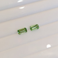 1.32&nbsp;Ct.Tw.Total Carat Weight Tsavorite Garnet Pair from Tanzania Life Style