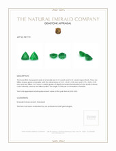 0.26 Ct.Tw.Total Carat Weight Emerald Pair from Zambia Appraisal