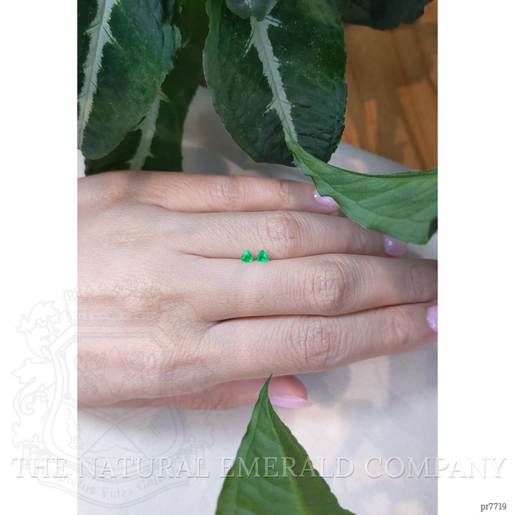 0.26 Ct.Tw. Emerald Pair from Zambia