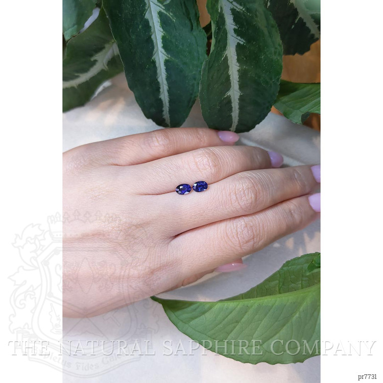 1.23 Ct.Tw. Blue Sapphire Pair from Ceylon (Sri Lanka)
