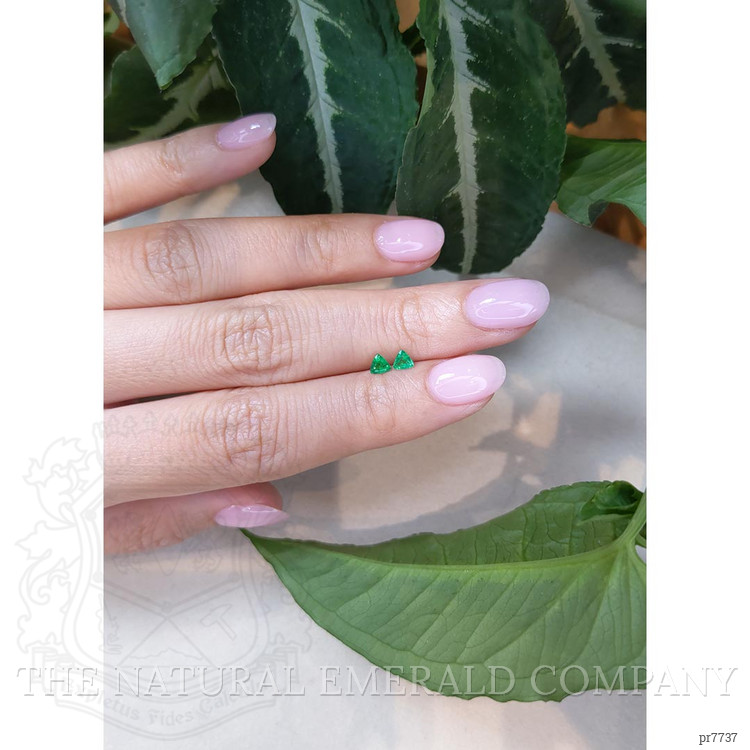 0.34 Ct.Tw. Emerald Pair from Zambia