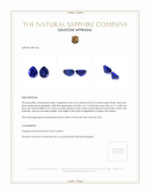 0.96 Ct.Tw.Total Carat Weight Blue Sapphire Pair from Ceylon (Sri Lanka) Appraisal