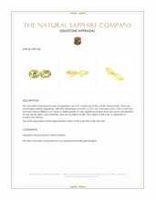 1.75 Ct.Tw.Total Carat Weight Yellow Sapphire Pair from Ceylon (Sri Lanka) Appraisal