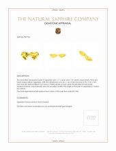 2.42 Ct.Tw.Total Carat Weight Yellow Sapphire Pair from Ceylon (Sri Lanka) Appraisal