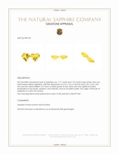 2.42 Ct.Tw.Total Carat Weight Yellow Sapphire Pair from Ceylon (Sri Lanka) Appraisal