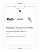 31.05 Ct.Tw.Total Carat Weight Purple Amethyst Pair from Mexico Appraisal