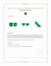 1.24 Ct.Tw.Total Carat Weight Emerald Pair from Afghanistan Appraisal