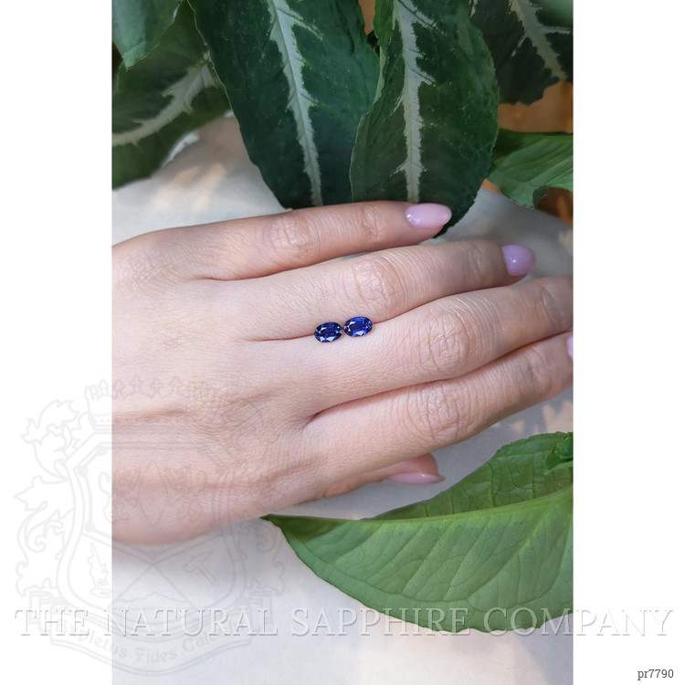 1.26 Ct.Tw. Blue Sapphire Pair from Ceylon (Sri Lanka)
