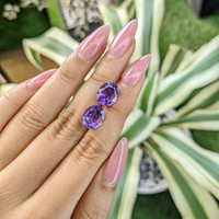 6.26 Ct.Tw.Total Carat Weight Amethyst Pair from Australia Life Style