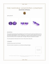 6.56 Ct.Tw.Total Carat Weight Amethyst Pair from Australia Appraisal
