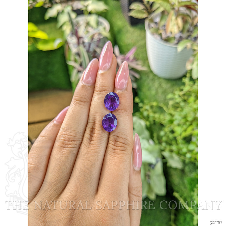 6.56 Ct.Tw. Amethyst Pair from Australia