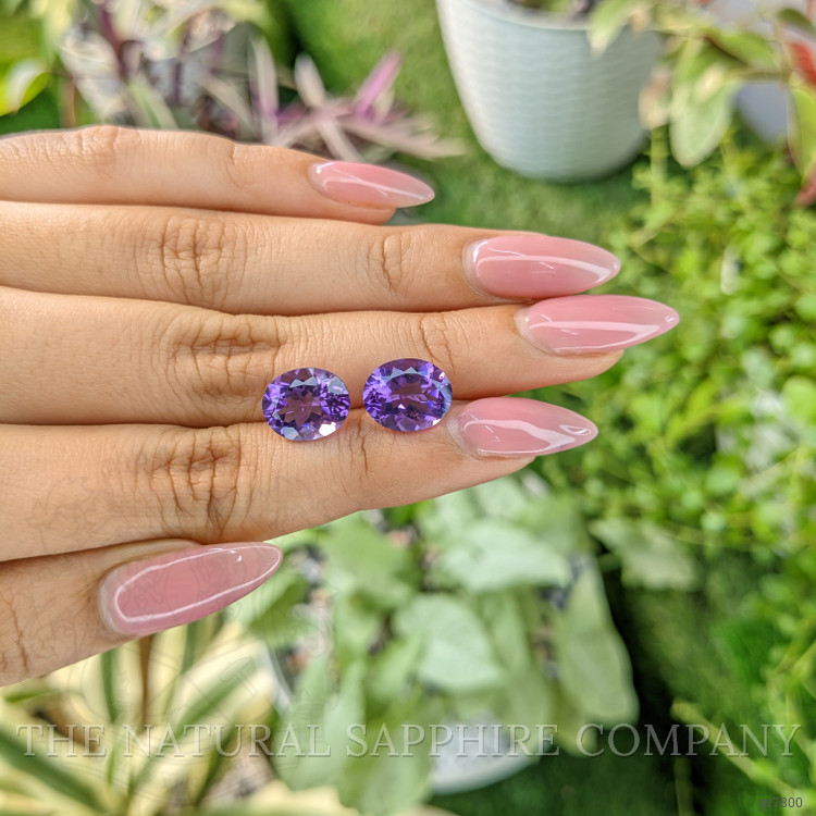 6.11 Ct.Tw. Amethyst Pair from Australia