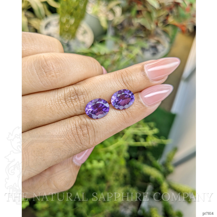 6.30 Ct.Tw. Amethyst Pair from Uruguay