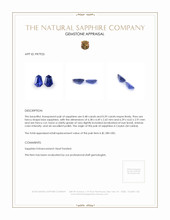 1.07 Ct.Tw.Total Carat Weight Blue Sapphire Pair from Ceylon (Sri Lanka) Appraisal