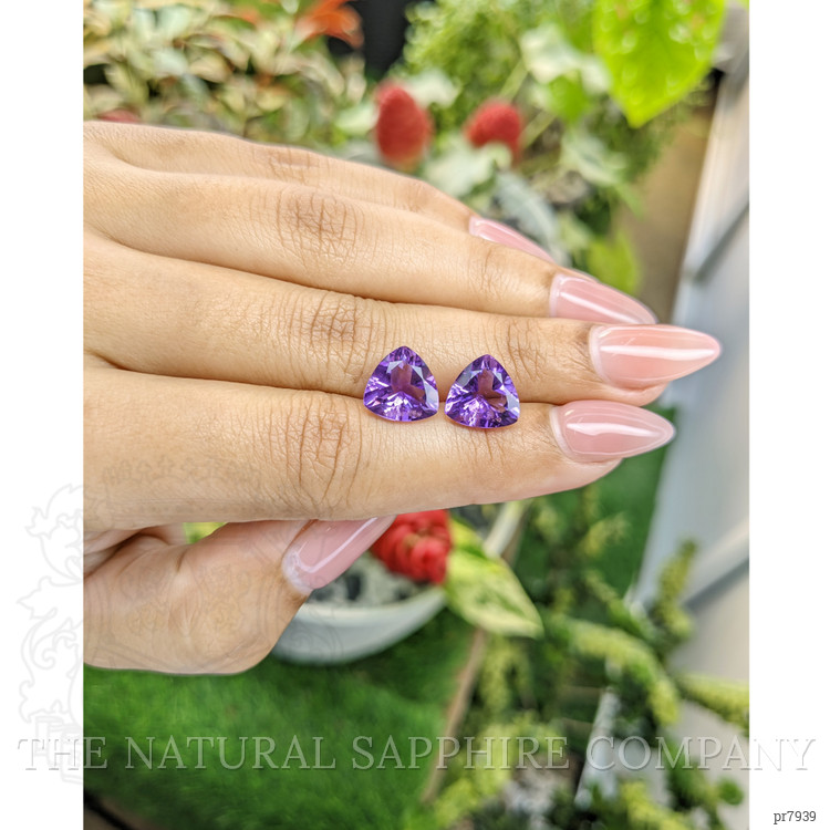 5.50 Ct.Tw. Amethyst Pair from Brazil