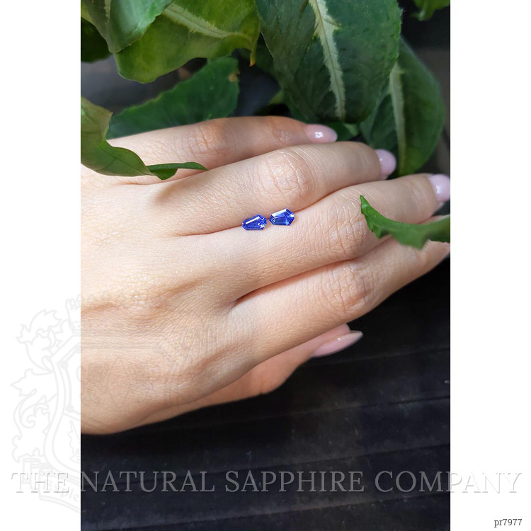 0.80 Ct.Tw. Blue Sapphire Pair from Ceylon (Sri Lanka)