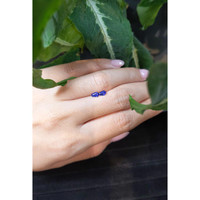 0.49&nbsp;Ct.Tw.Total Carat Weight Blue Sapphire Pair from Ceylon (Sri Lanka) Life Style