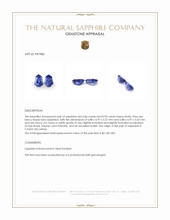 1.80&nbsp;Ct.Tw.Total Carat Weight Blue Sapphire Pair from Ceylon (Sri Lanka) Appraisal