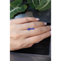 1.51&nbsp;Ct.Tw.Total Carat Weight Blue Sapphire Pair from Ceylon (Sri Lanka) Life Style