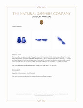 0.99 Ct.Tw.Total Carat Weight Blue Sapphire Pair from Ceylon (Sri Lanka) Appraisal