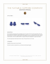 1.46 Ct.Tw.Total Carat Weight Blue Sapphire Pair from Ceylon (Sri Lanka) Appraisal