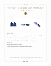 1.15 Ct.Tw.Total Carat Weight Blue Sapphire Pair from Ceylon (Sri Lanka) Appraisal
