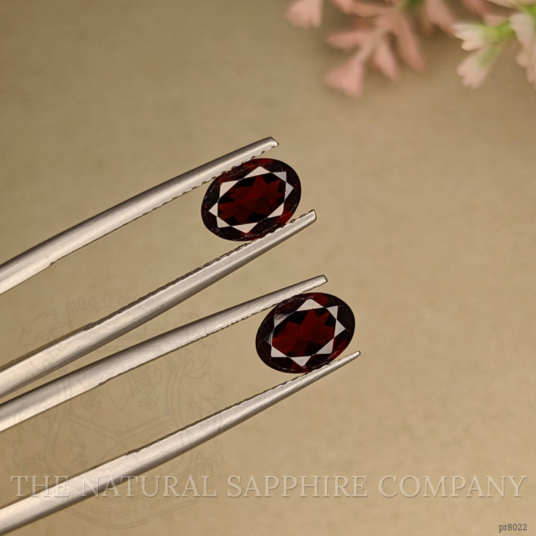 2.84 Ct.Tw. Garnet Pair from Ceylon (Sri Lanka)