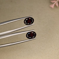 2.93&nbsp;Ct.Tw.Total Carat Weight Garnet Pair from Ceylon (Sri Lanka) Life Style