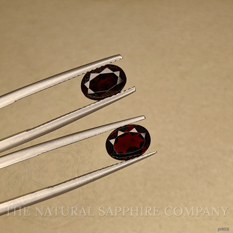 2.87 Ct.Tw. Garnet Pair from Ceylon (Sri Lanka)