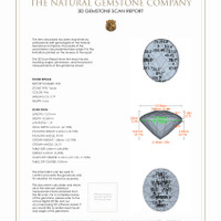 12.11 Ct.Tw.Total Carat Weight Topaz Pair from Pakistan 3 D Scan Report
