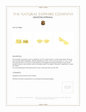 1.13 Ct.Tw.Total Carat Weight Yellow Sapphire Pair from Ceylon (Sri Lanka) Appraisal