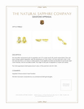 1.51&nbsp;Ct.Tw.Total Carat Weight Yellow Sapphire Pair from Ceylon (Sri Lanka) Appraisal