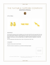 0.76 Ct.Tw.Total Carat Weight Yellow Sapphire Pair from Ceylon (Sri Lanka) Appraisal