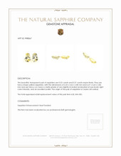 1.12 Ct.Tw.Total Carat Weight Yellow Sapphire Pair from Ceylon (Sri Lanka) Appraisal