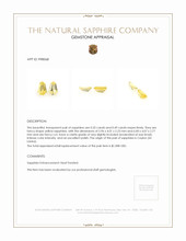 0.84&nbsp;Ct.Tw.Total Carat Weight Yellow Sapphire Pair from Ceylon (Sri Lanka) Appraisal