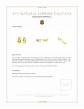 0.92 Ct.Tw.Total Carat Weight Yellow Sapphire Pair from Ceylon (Sri Lanka) Appraisal