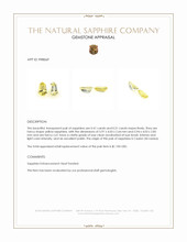 0.92 Ct.Tw.Total Carat Weight Yellow Sapphire Pair from Ceylon (Sri Lanka) Appraisal