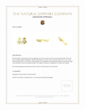 1.09&nbsp;Ct.Tw.Total Carat Weight Yellow Sapphire Pair from Ceylon (Sri Lanka) Appraisal