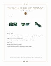 4.04 Ct.Tw.Total Carat Weight Greenish Blue Sapphire Pair from Ceylon (Sri Lanka) Appraisal