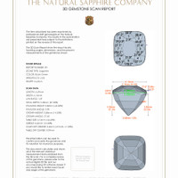 4.04 Ct.Tw.Total Carat Weight Sapphire Pair from Ceylon (Sri Lanka) 3 D Scan Report