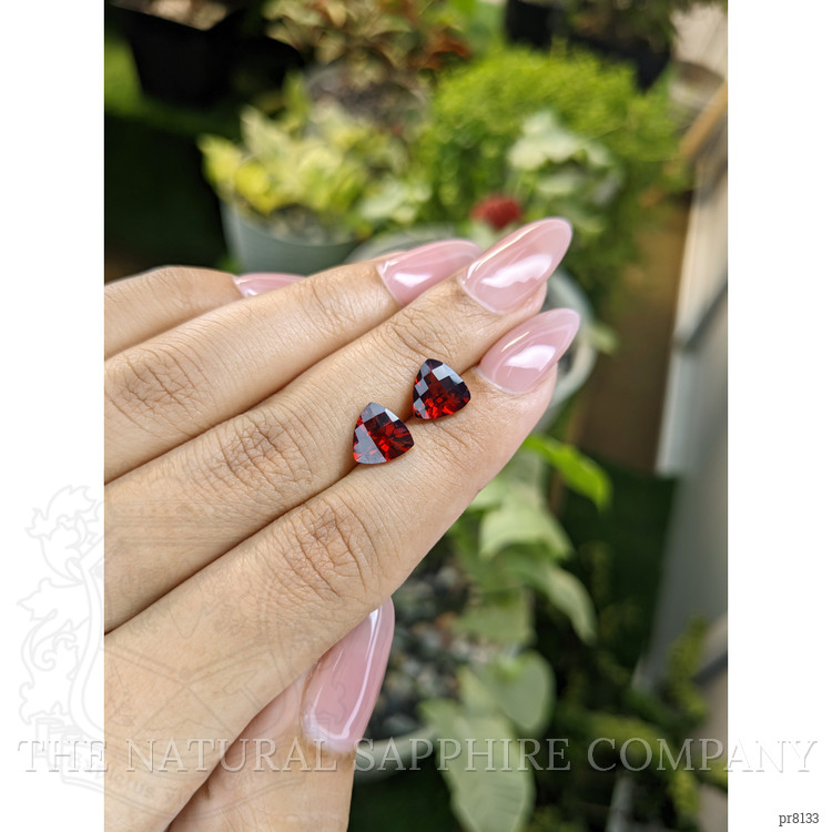 3.89 Ct.Tw. Garnet Pair from Ceylon (Sri Lanka)