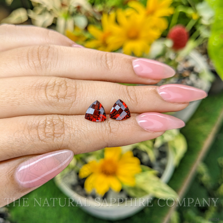 3.83 Ct.Tw. Garnet Pair from Ceylon (Sri Lanka)