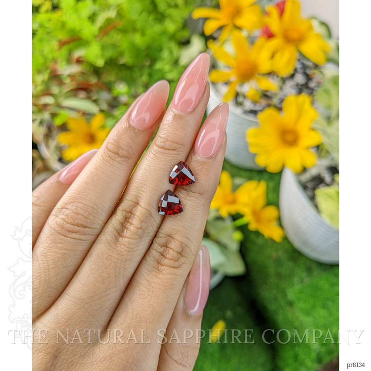 3.83 Ct.Tw. Garnet Pair from Ceylon (Sri Lanka)