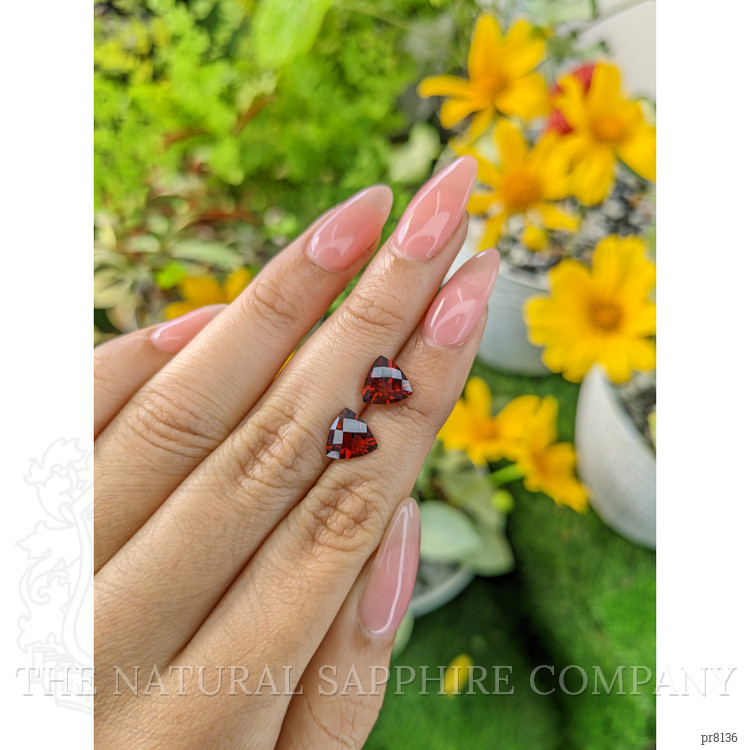 3.72 Ct.Tw. Garnet Pair from Ceylon (Sri Lanka)