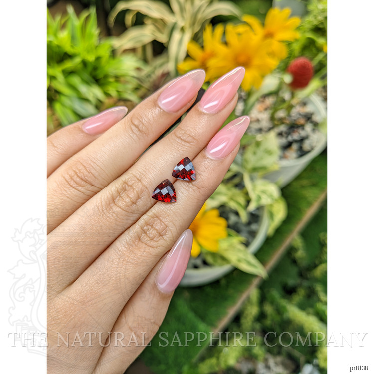 4.26 Ct.Tw. Garnet Pair from Ceylon (Sri Lanka)