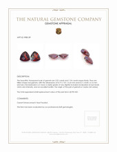 3.96 Ct.Tw.Total Carat Weight Garnet Pair from Ceylon (Sri Lanka) Appraisal